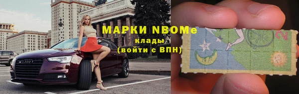 apvp Белокуриха
