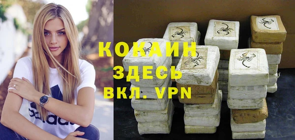 apvp Белокуриха