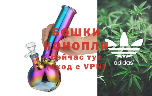 apvp Белокуриха