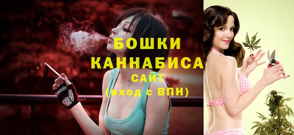 apvp Белокуриха