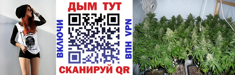 Каннабис AK-47 Холм